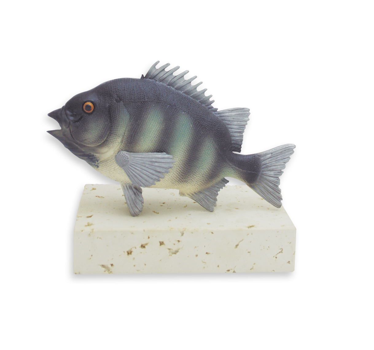 copas y trofeos trofeos pesca 23090 