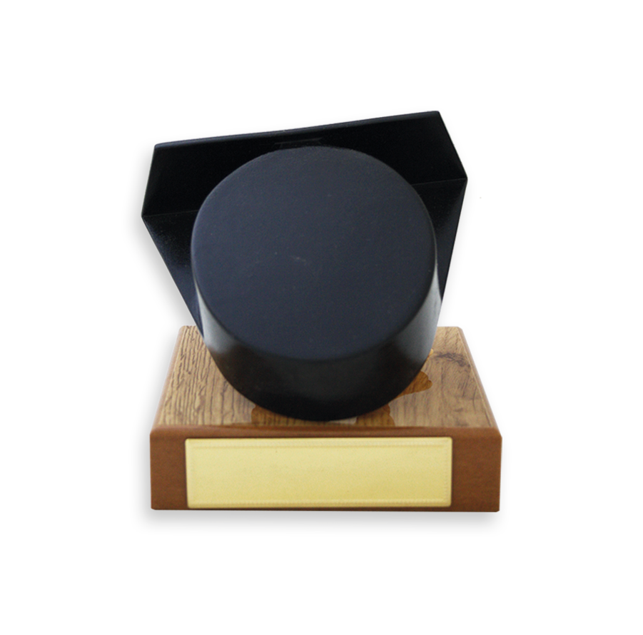 trofeos cuerpos del estado trofeos cuerpos del estado 23355 