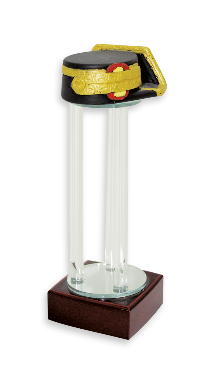 trofeos cuerpos del estado trofeos cuerpos del estado 23357 