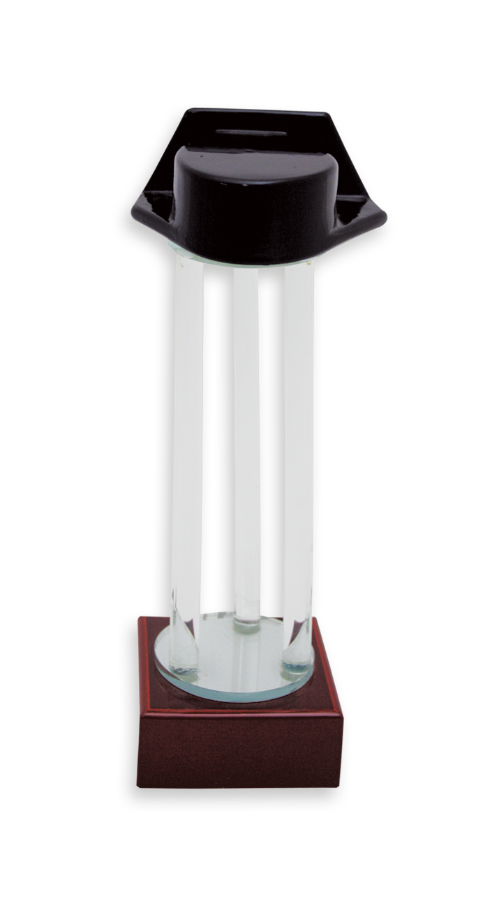 trofeos cuerpos del estado trofeos cuerpos del estado 23358 