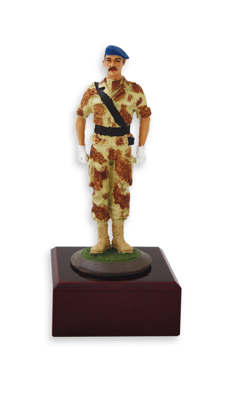 trofeos cuerpos del estado trofeos cuerpos del estado 23369 