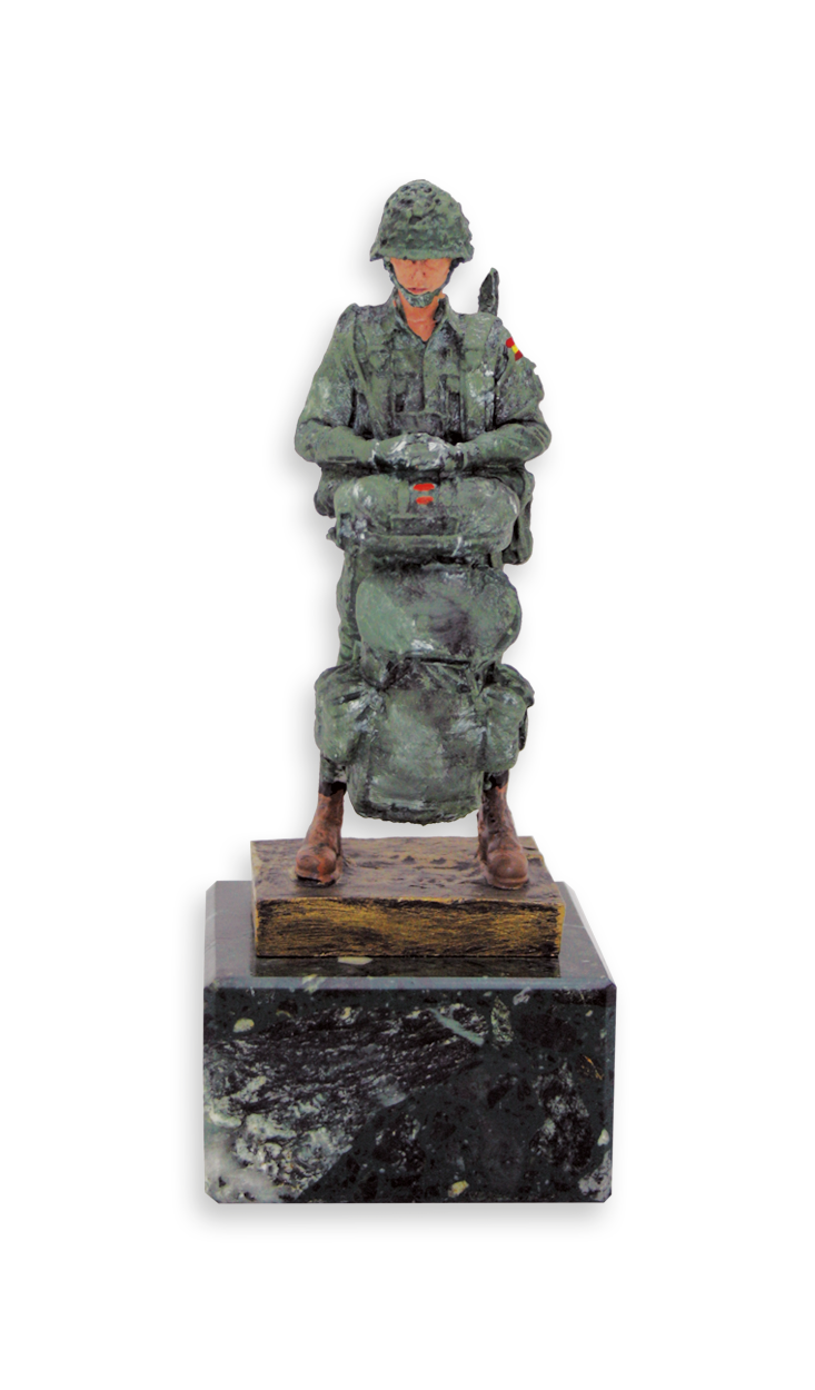 trofeos cuerpos del estado trofeos cuerpos del estado 23371 