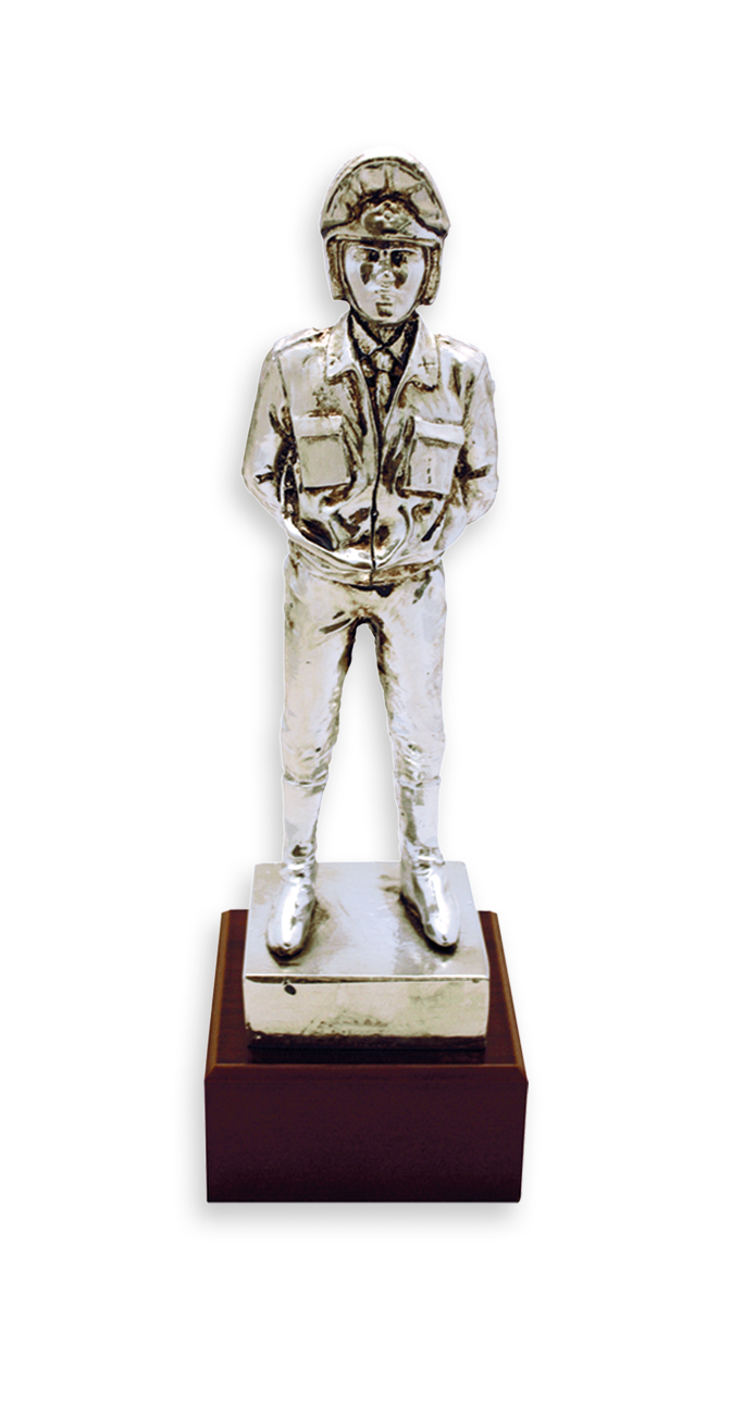 trofeos cuerpos del estado trofeos cuerpos del estado 23379 