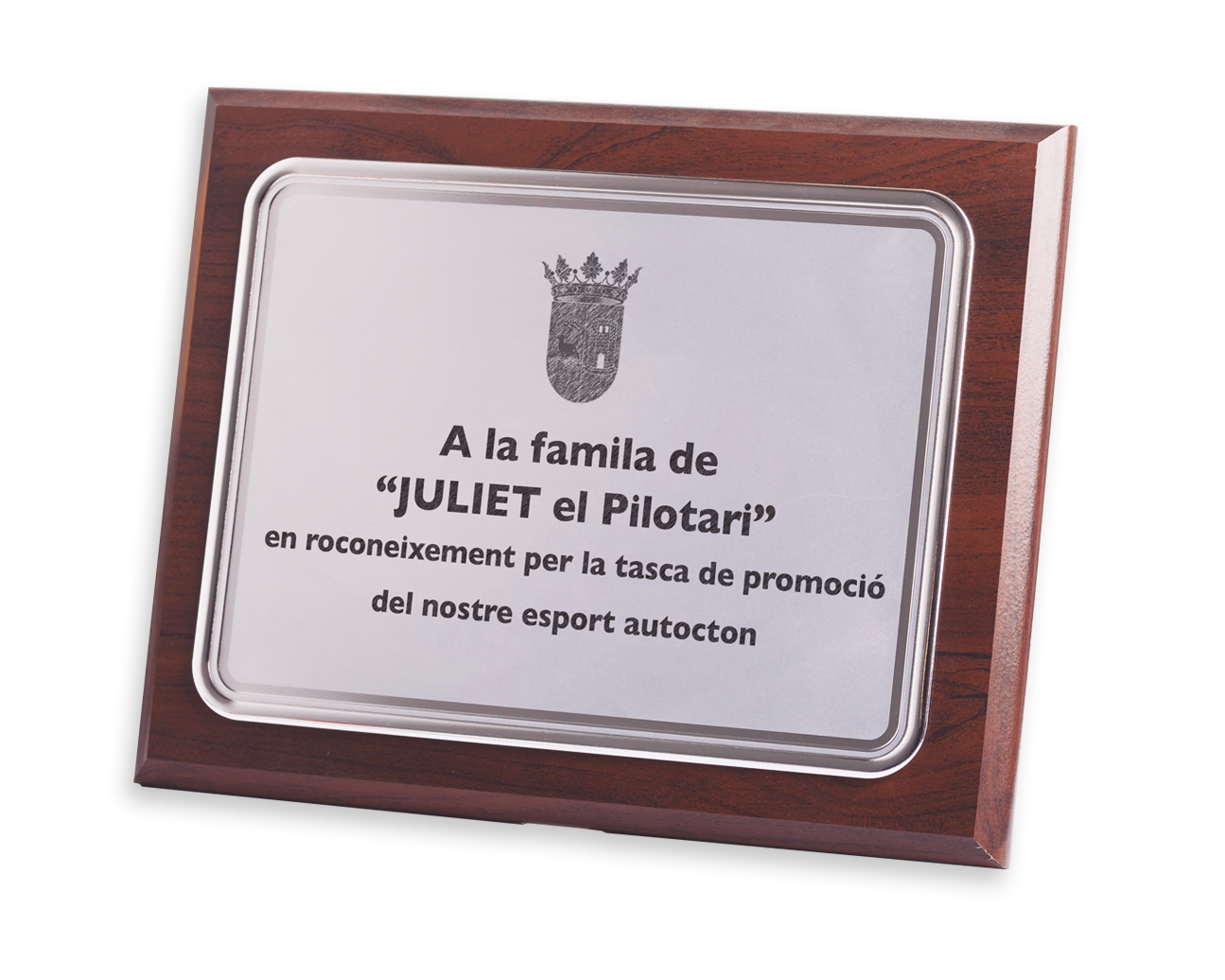 placas conmemorativas placas conmemorativas P-111 Aluminio