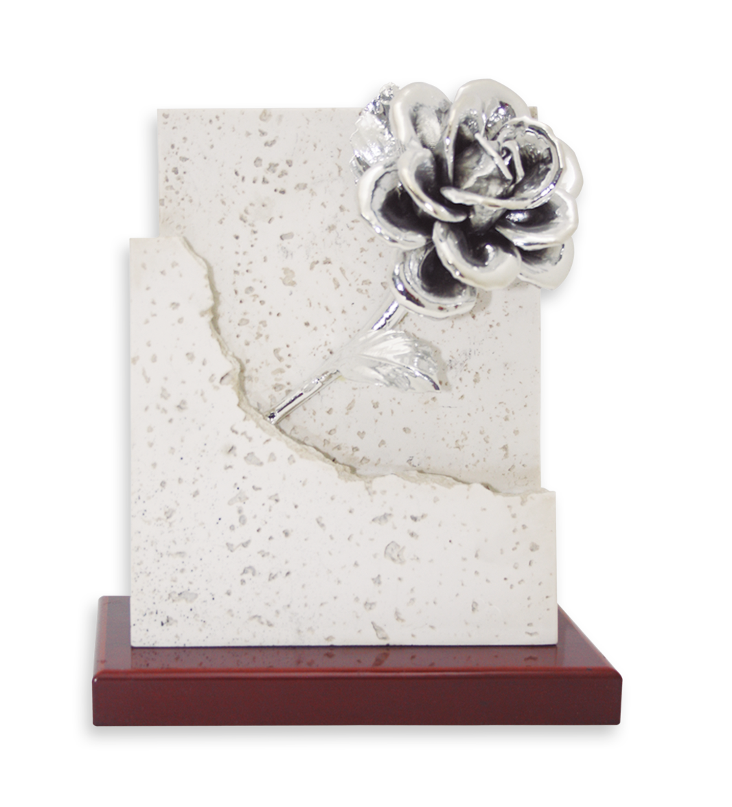 placas conmemorativas aniversarios P-14 Resina-Baño Plata