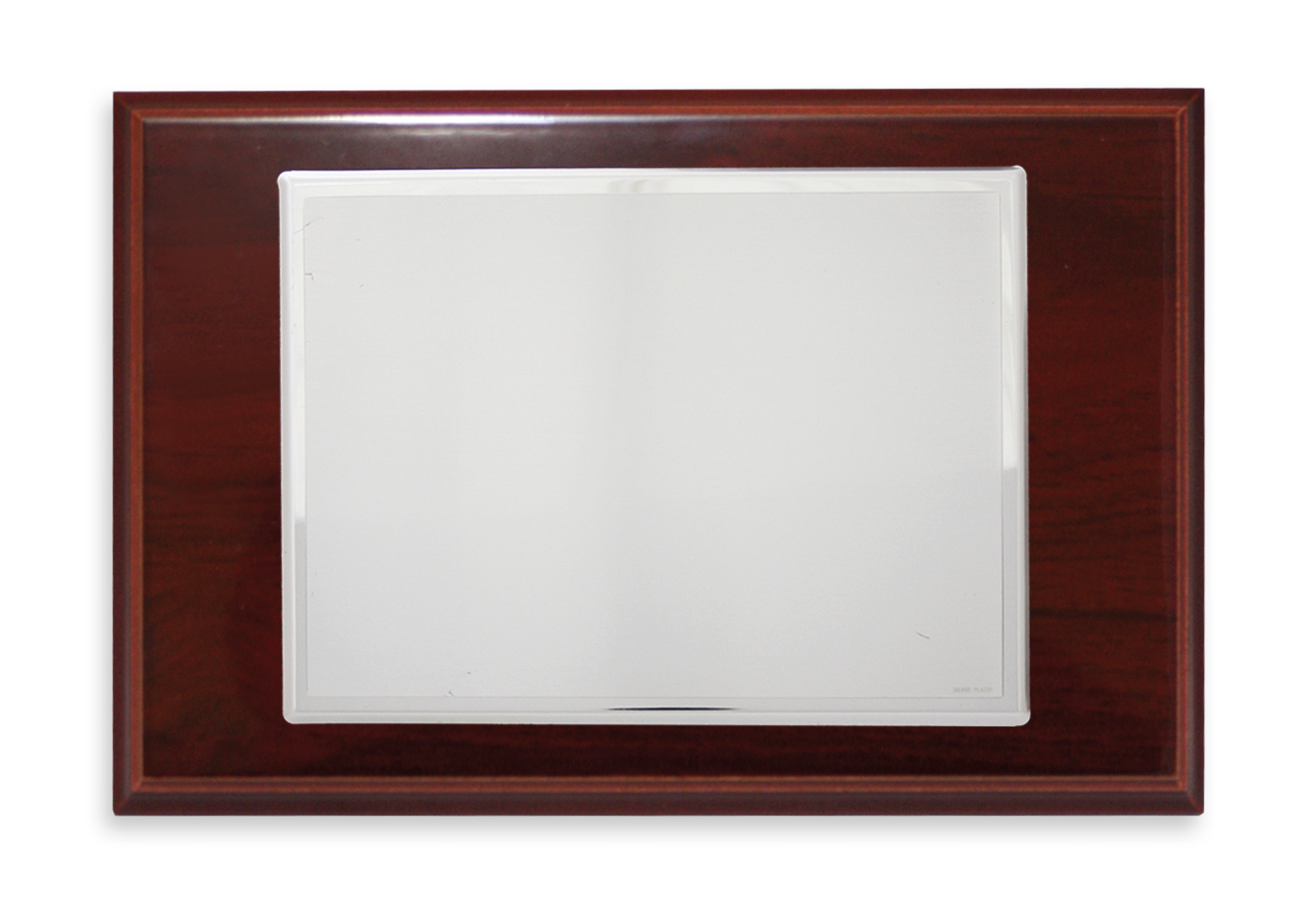 placas conmemorativas placas conmemorativas P-21 Baño de Plata